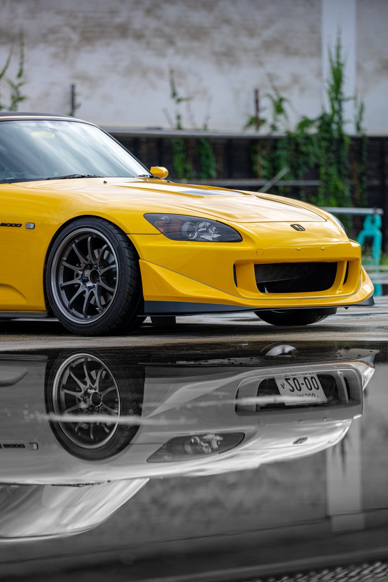 雨上がりに撮ってみたかったやつがようやく撮れたw