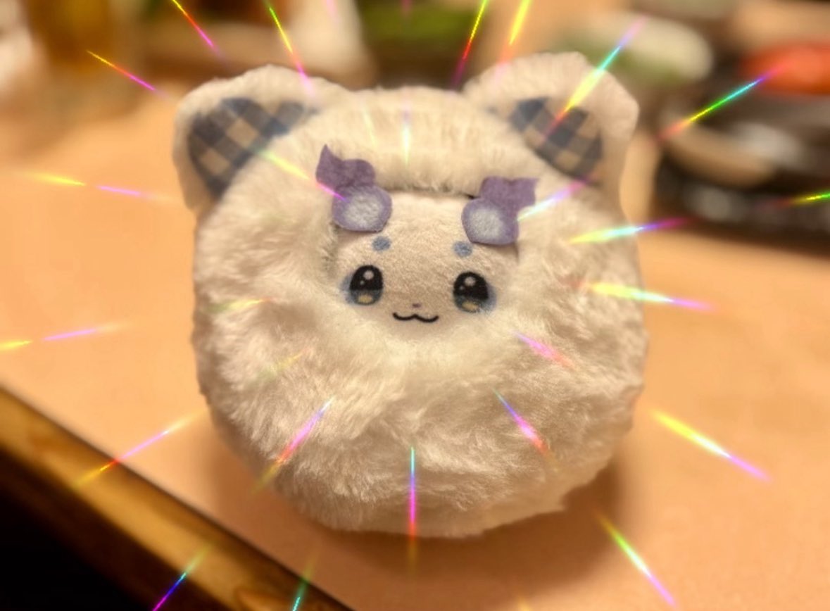 我が家のちょまも着用しましたが、めちゃくちゃ可愛いので是非とも👏白い毛玉が手元に居るだけでQOLが上がるのでね☝️🥸