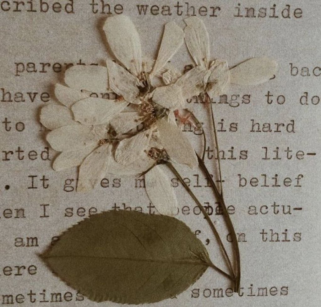 “Sana denk gelinmez, sana çabalanır.
Seninle güzel günlere dilek dilenmez,
güzel günler için savaşılır.”