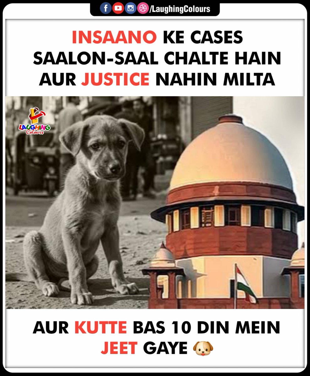 LaughingColours's tweet image. Justice Served 🐕⚖️

#SupremeCourt #AnimalRights #JusticeForDogs #LegalSystem #IndiaNews #TruthUnfolds