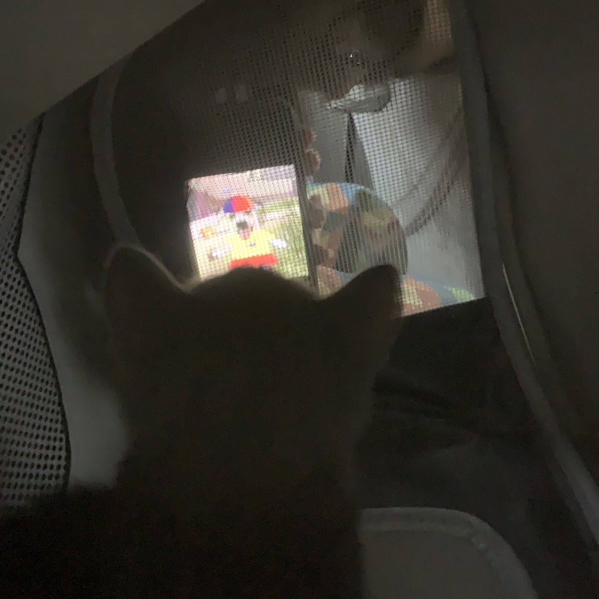 First time looking at brainrot kinda nervous