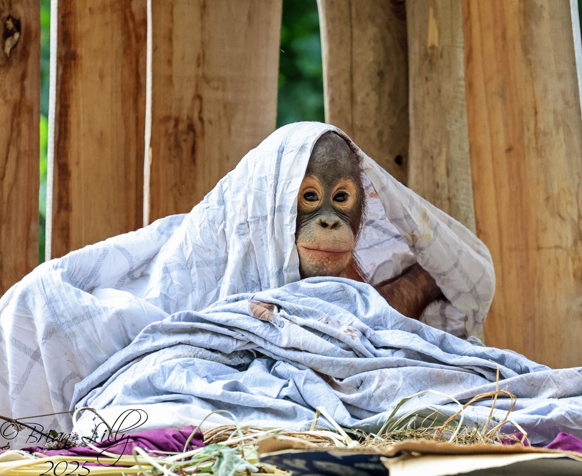 time 2 go back 2 bed