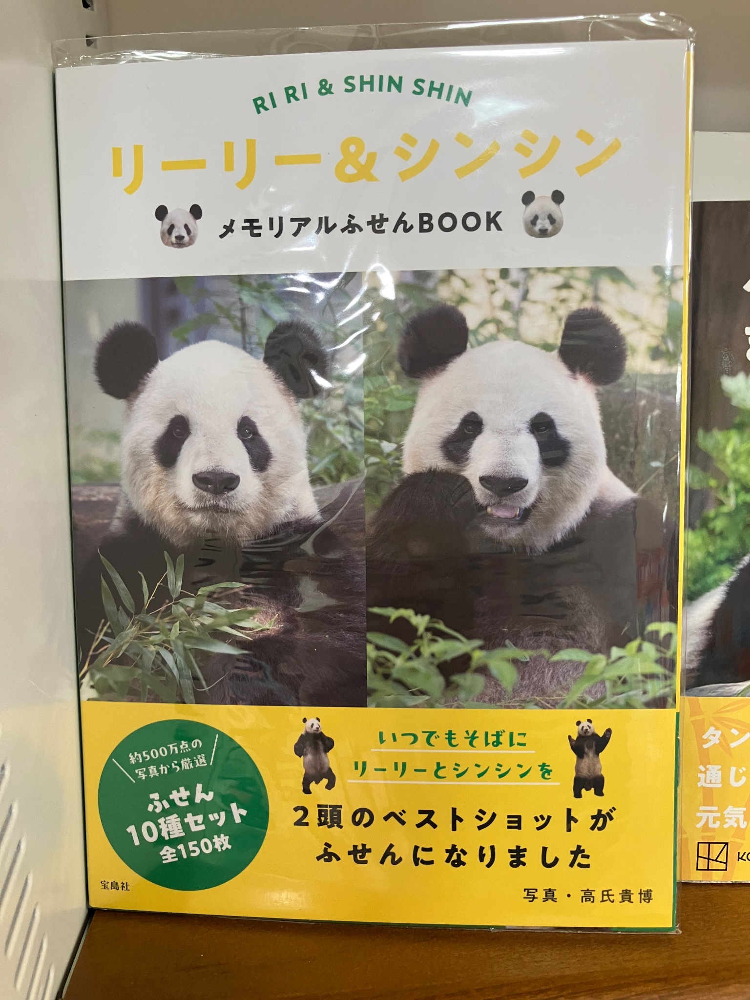 会議中のパンダ 🐼リーリー＆シンシンのメモリアルふせんBOOKとクリアファイル