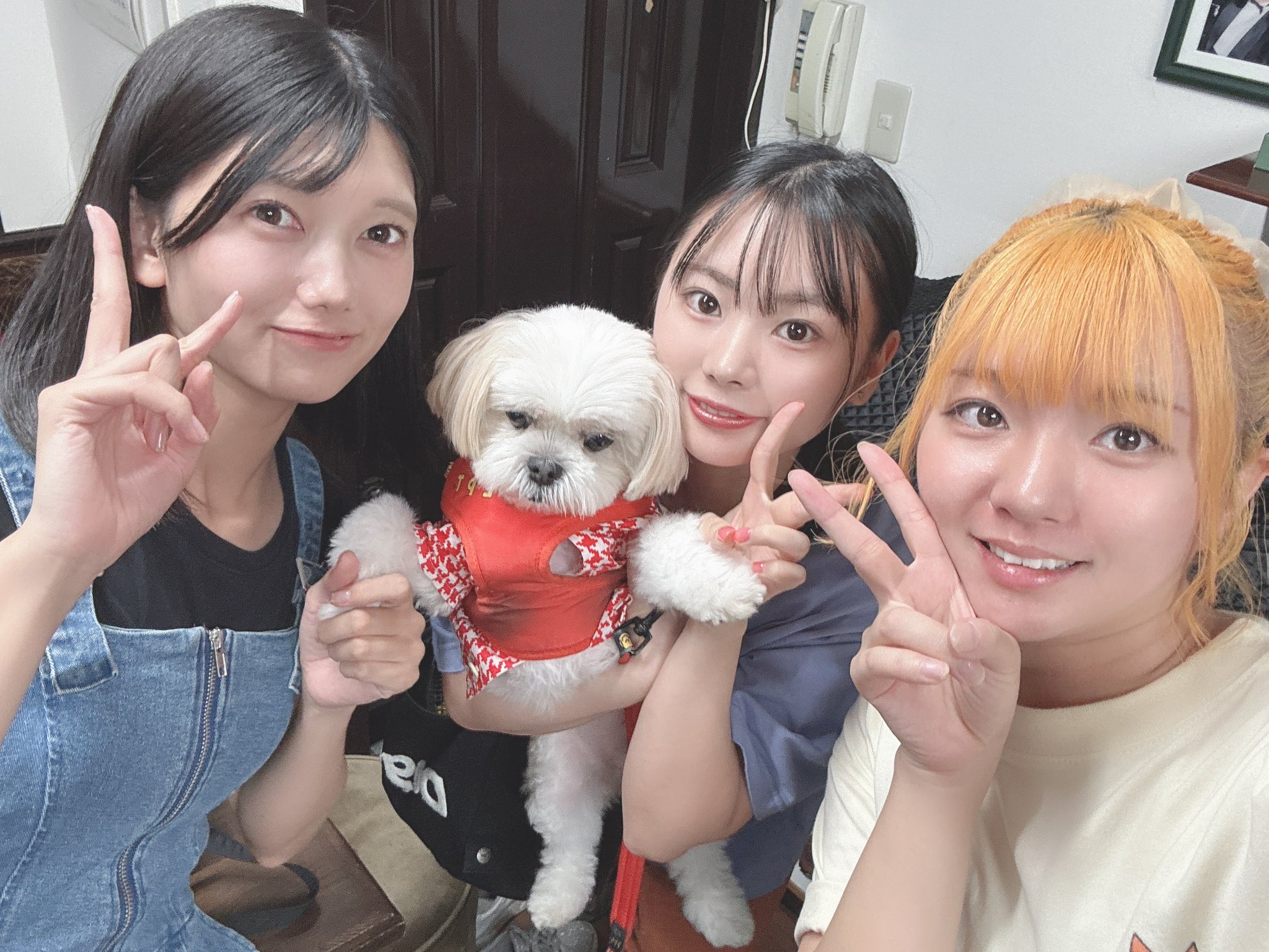 ユウミ@取置不可様♡ありがとうございます♡ 寒すぎて目が開かなかった🌳 唯一あいてる写真🌳 こういう場所