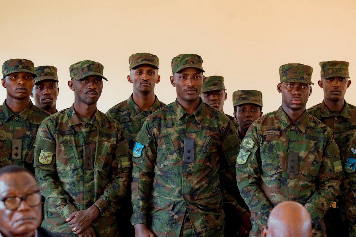 Lion 🦁 🇷🇼🇷🇼🇷🇼♥️♥️♥️♥️