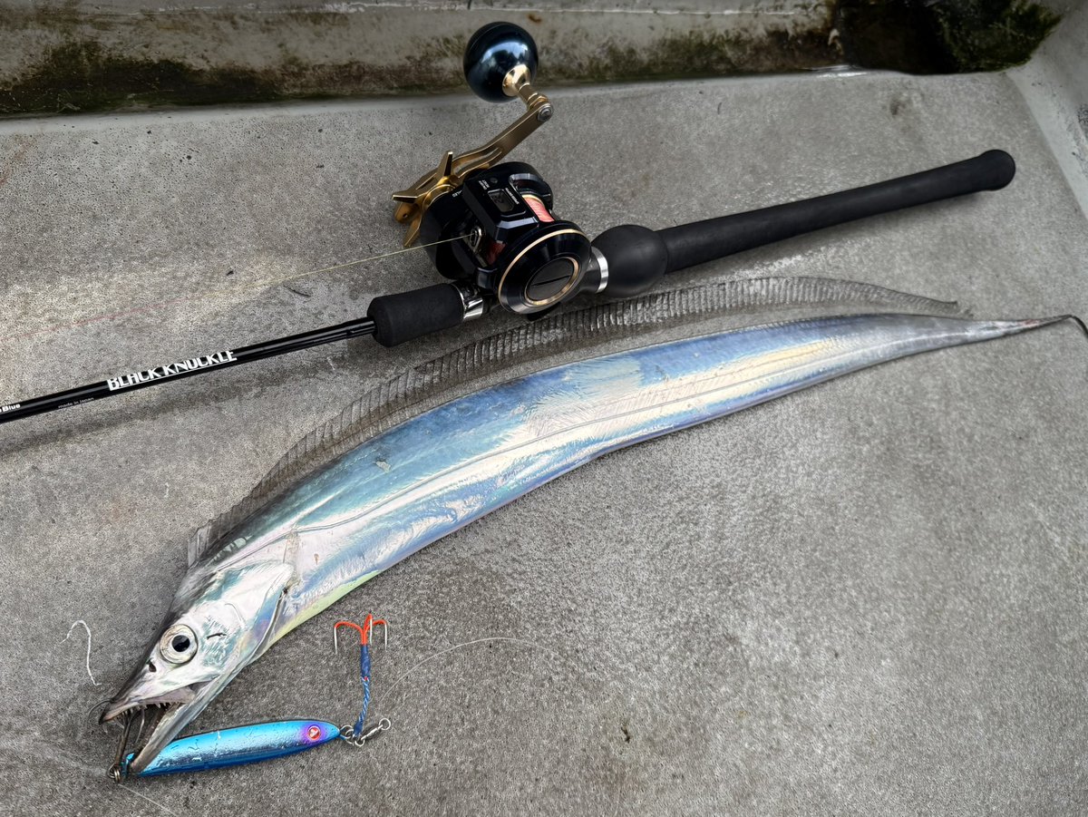 シゲです。大鵬 シゲです。大鵬 Stream しげの music | Listen to songs, albums