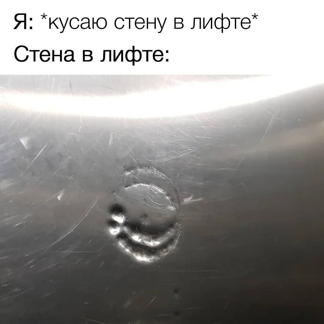 Лень придумывать нормальное имя (@boringsquid) on Twitter photo 