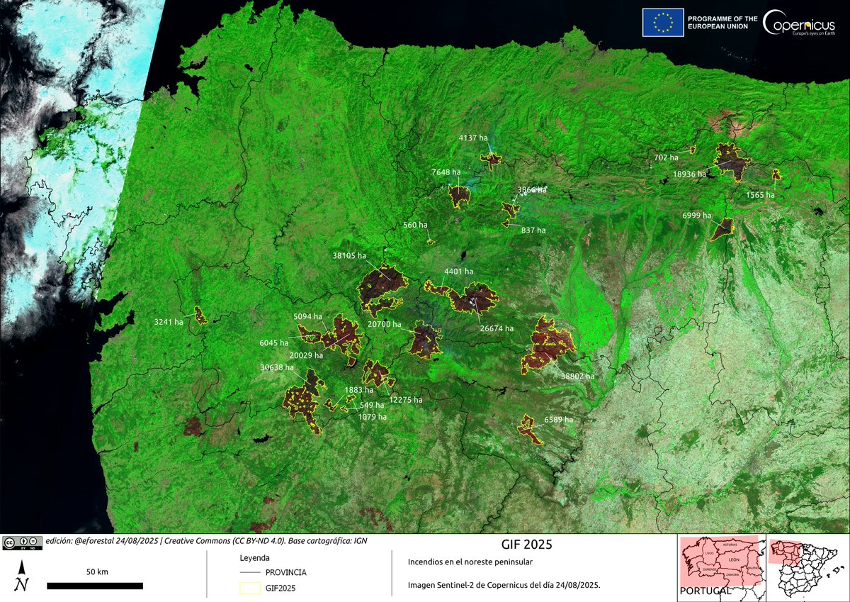 educación forestal (@eforestal) on Twitter photo 🔥🇪🇸Grandes Incendios Forestales (> 500 ha) del noroeste peninsular.
(imagen 🛰️#Sentinel2 de 🇪🇺<a href="/CopernicusEU/">Copernicus EU</a> de ayer)
ℹ️Actualizaciones y más datos en:
edu.forestry.es/p/gif2025.html 🔥🇪🇸Grandes Incendios Forestales (> 500 ha) del noroeste peninsular.
(imagen 🛰️#Sentinel2 de 🇪🇺<a href="/CopernicusEU/">Copernicus EU</a> de ayer)
ℹ️Actualizaciones y más datos en:
edu.forestry.es/p/gif2025.html