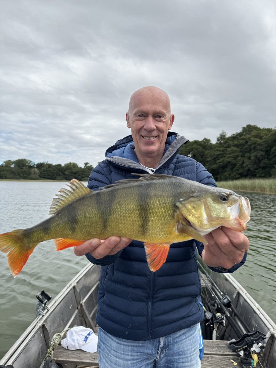 Steinhoefel tweet media