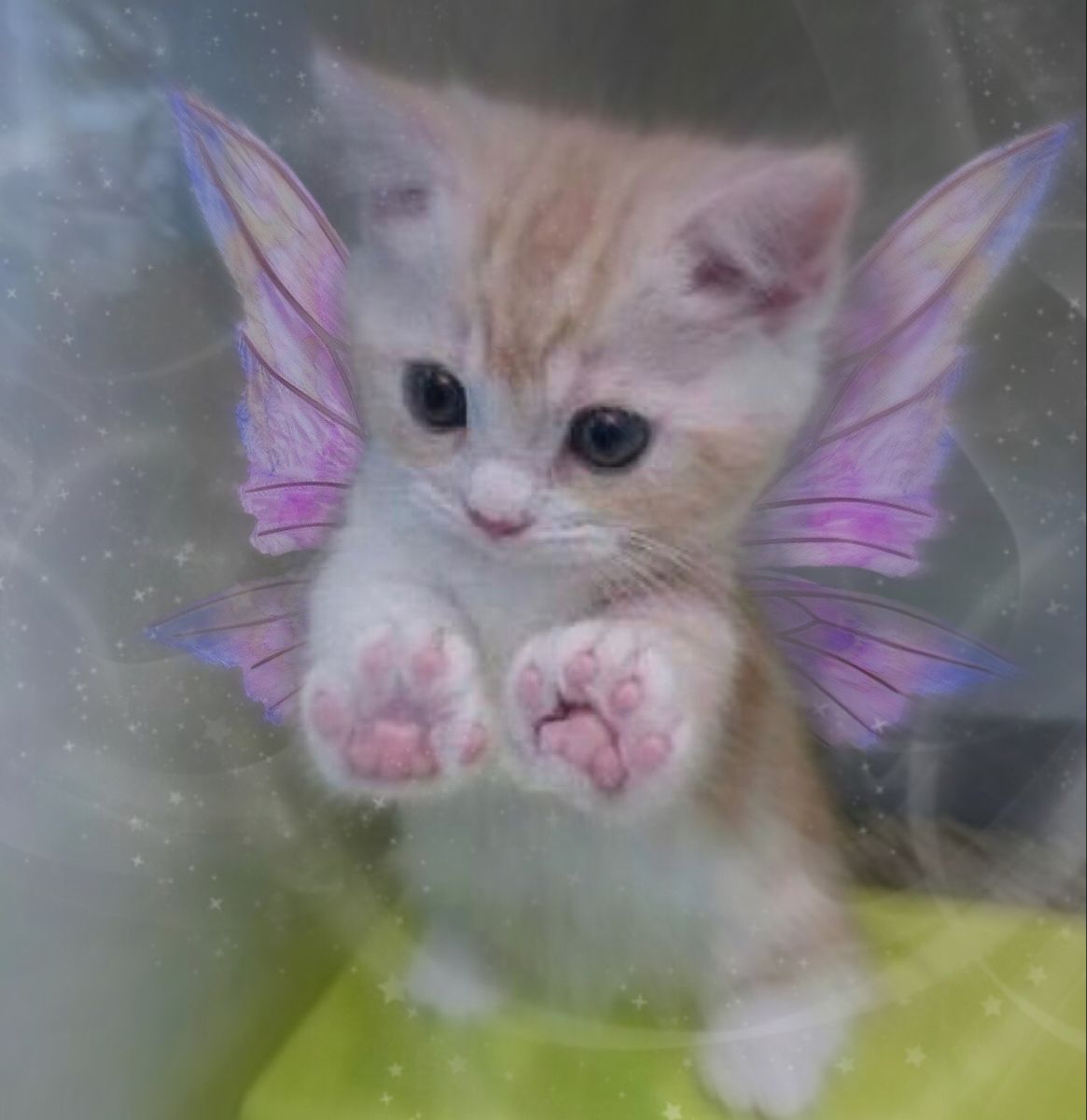 <a href="/scatter_art/">Scatter</a> put wings on that cat &gt;:3