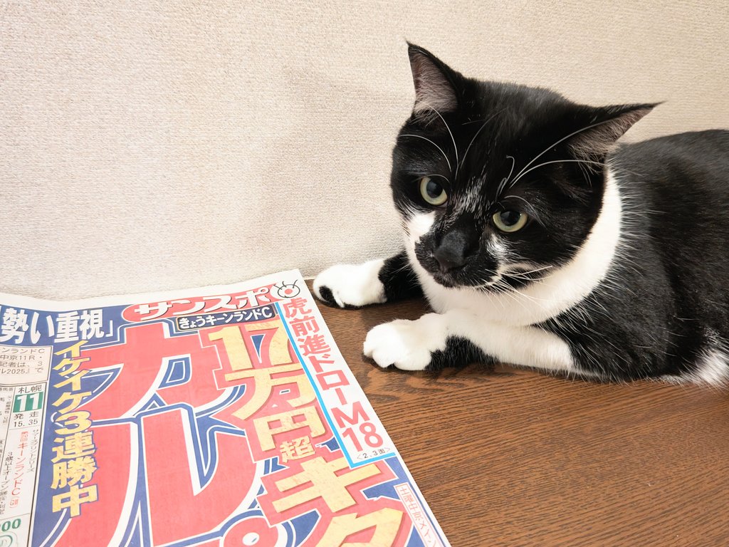 たかぎ on X: 
