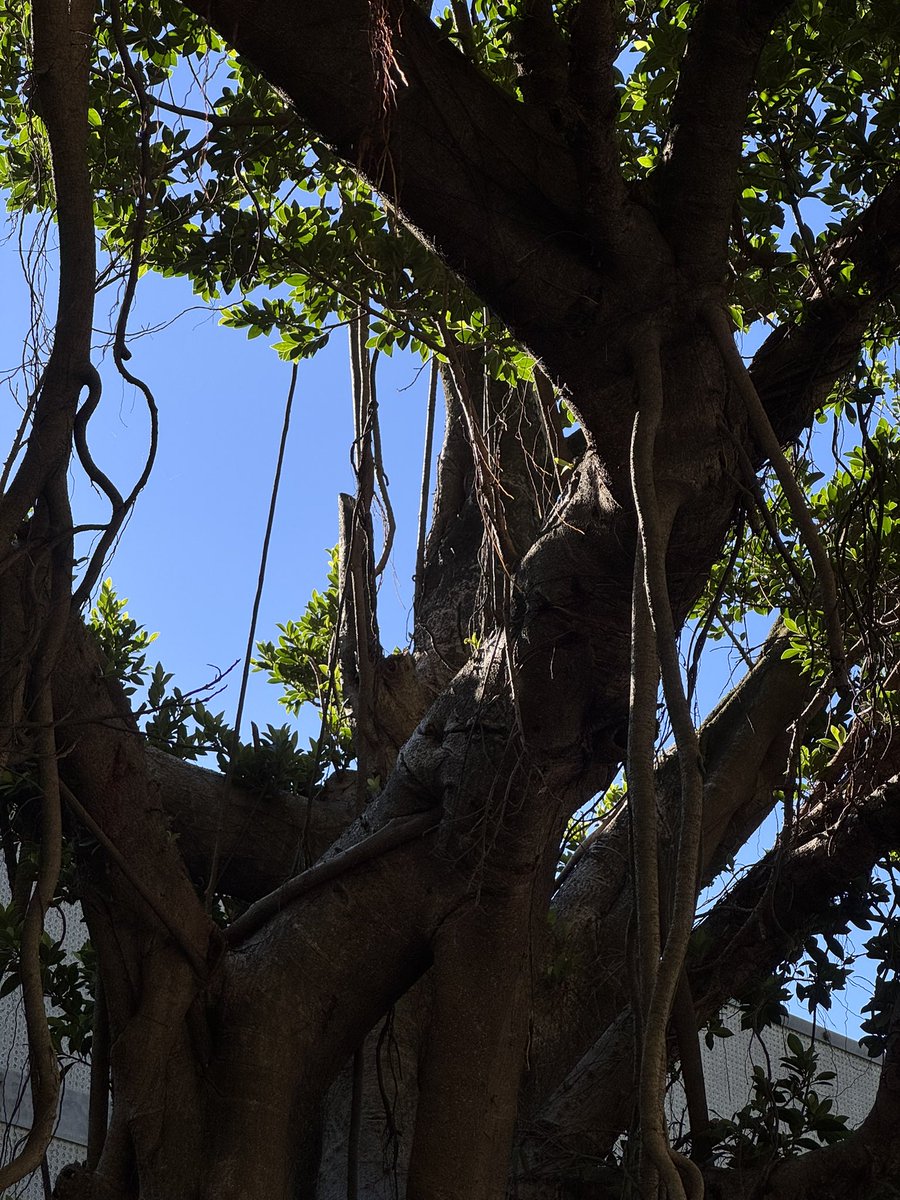 下午才是給人活的