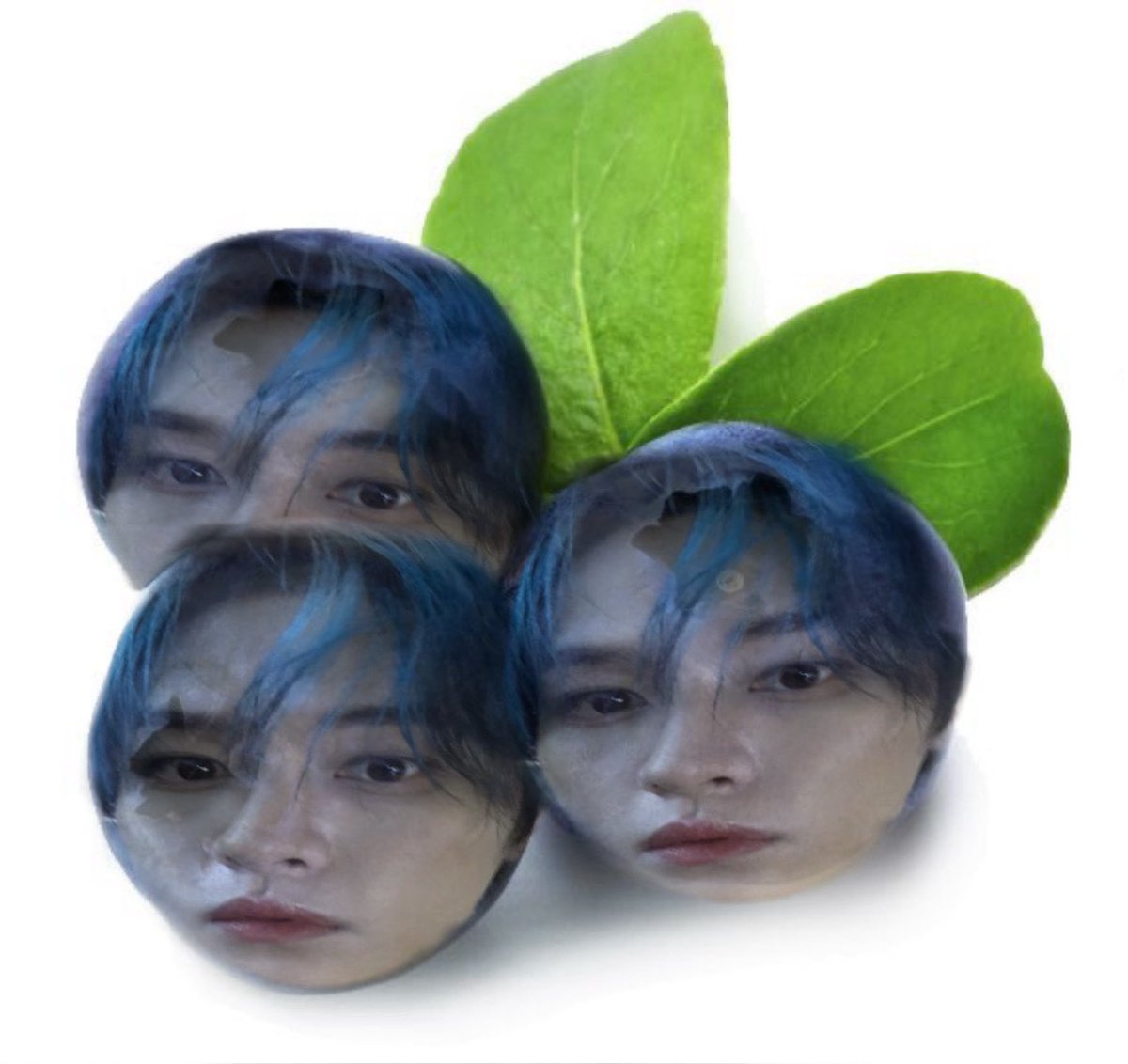 blueberry lino !! 🫐♡