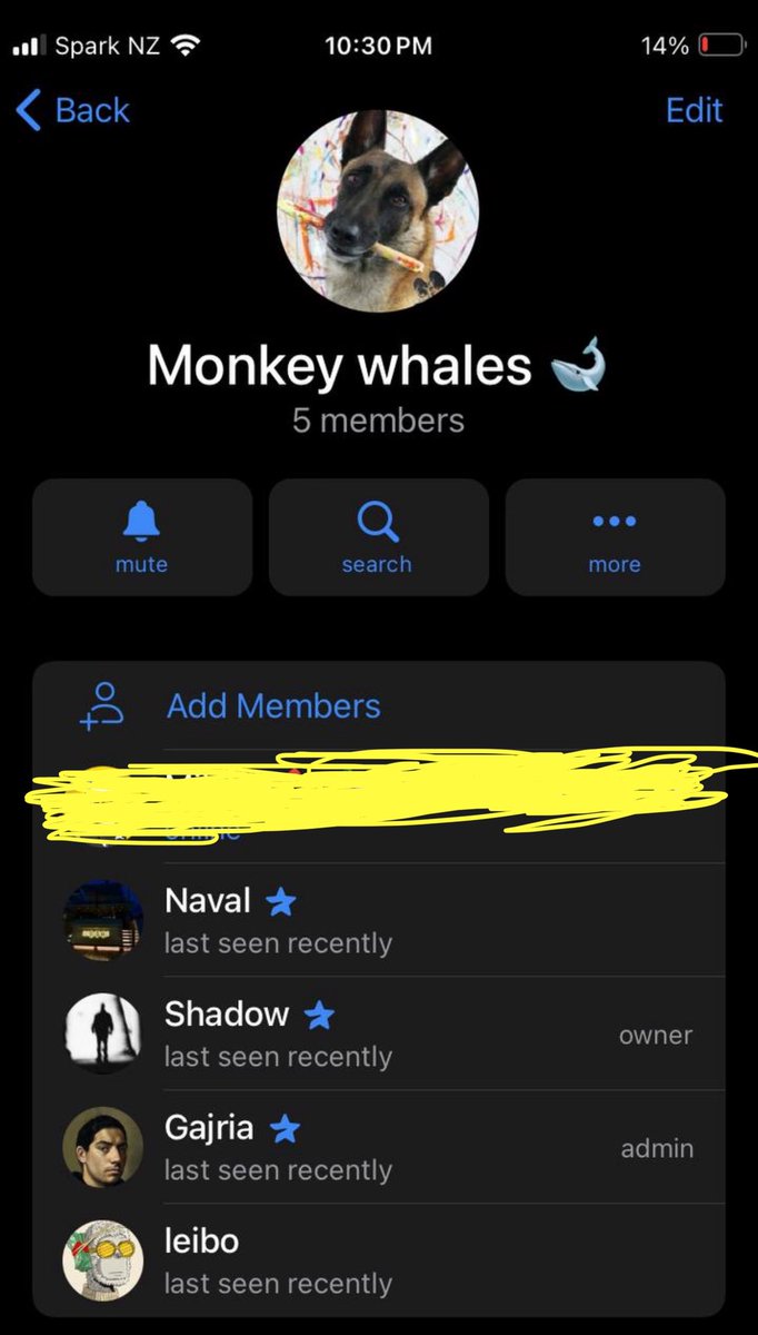 LJC (@onlyljc) on Twitter photo ATTENTION MONKEY GANG!
There is a fake whale chat by scammers on telegram trying to rip off our monkey holders.
One of our holders joined this but happily he texted me before doing anything. They pretending to be <a href="/_Shadow36/">Shadow</a> <a href="/himgajria/">him</a> and other big whale names. 
Just so you ATTENTION MONKEY GANG!
There is a fake whale chat by scammers on telegram trying to rip off our monkey holders.
One of our holders joined this but happily he texted me before doing anything. They pretending to be <a href="/_Shadow36/">Shadow</a> <a href="/himgajria/">him</a> and other big whale names. 
Just so you