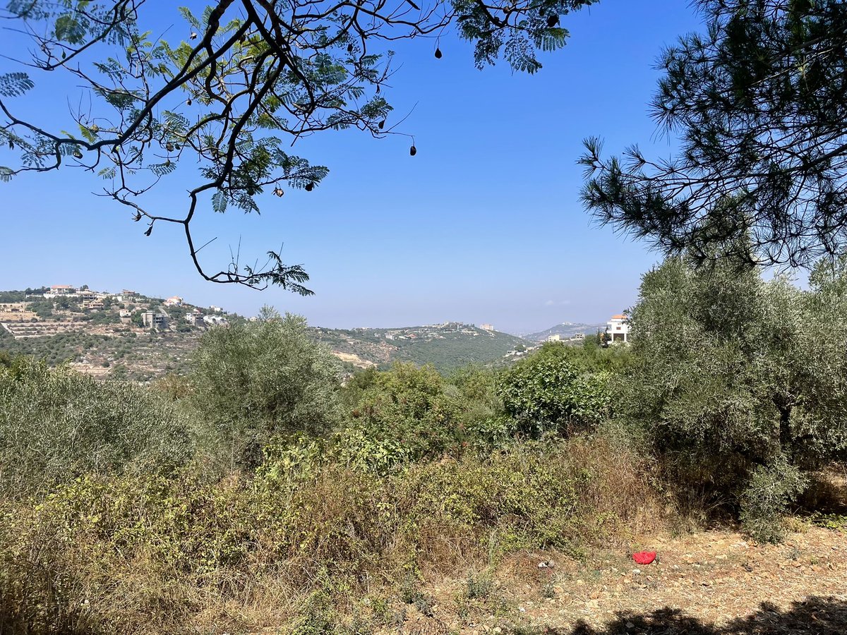 كفرا، في يوم صيفيّ جميل، تلقي عليكم السلام..