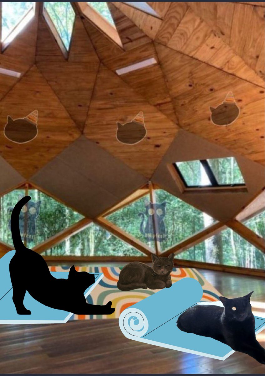 A few paws have got together early in the yoga tent fur Gladders Yoga. We're excited to get to meet the Boss, at last! #Nipfest2025 #CatsofTwittter #GladdersYoga