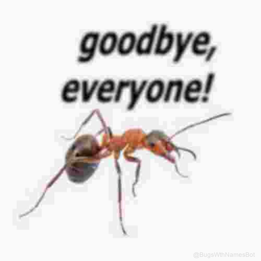 BugsWthNamesBot's tweet image. 🐜🐌 Goodbye, everyone!