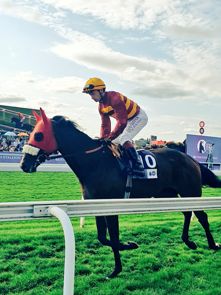 RacingBlade's tweet image. New Monarch &amp;amp; @oismurphy on way to the start @yorkracecourse #AndrewBalding