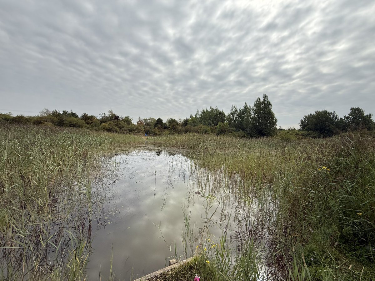 Kevin Nicholson tweet media