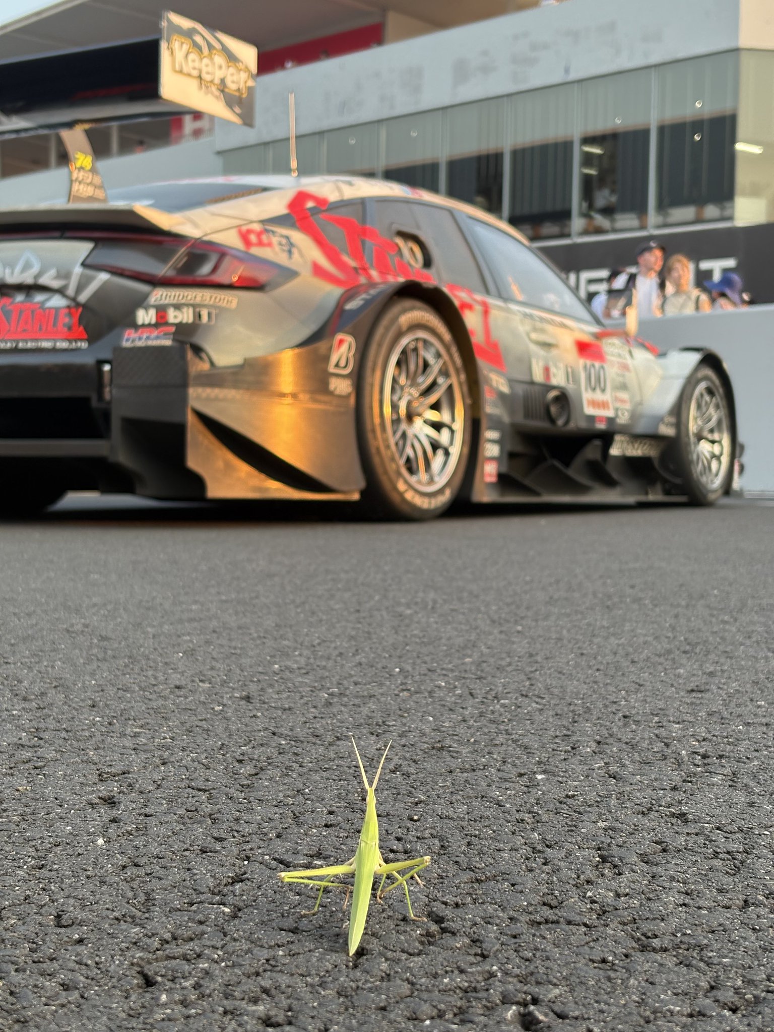 バッタくん 鈴鹿サーキット Suzuka Circuit on X: 