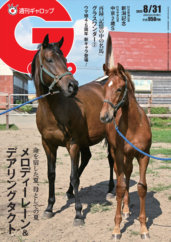 週刊ギャロップ　2001年　全巻 希少13冊セット 2000年〜2001年 週刊Gallop ギャロップ - メルカリ