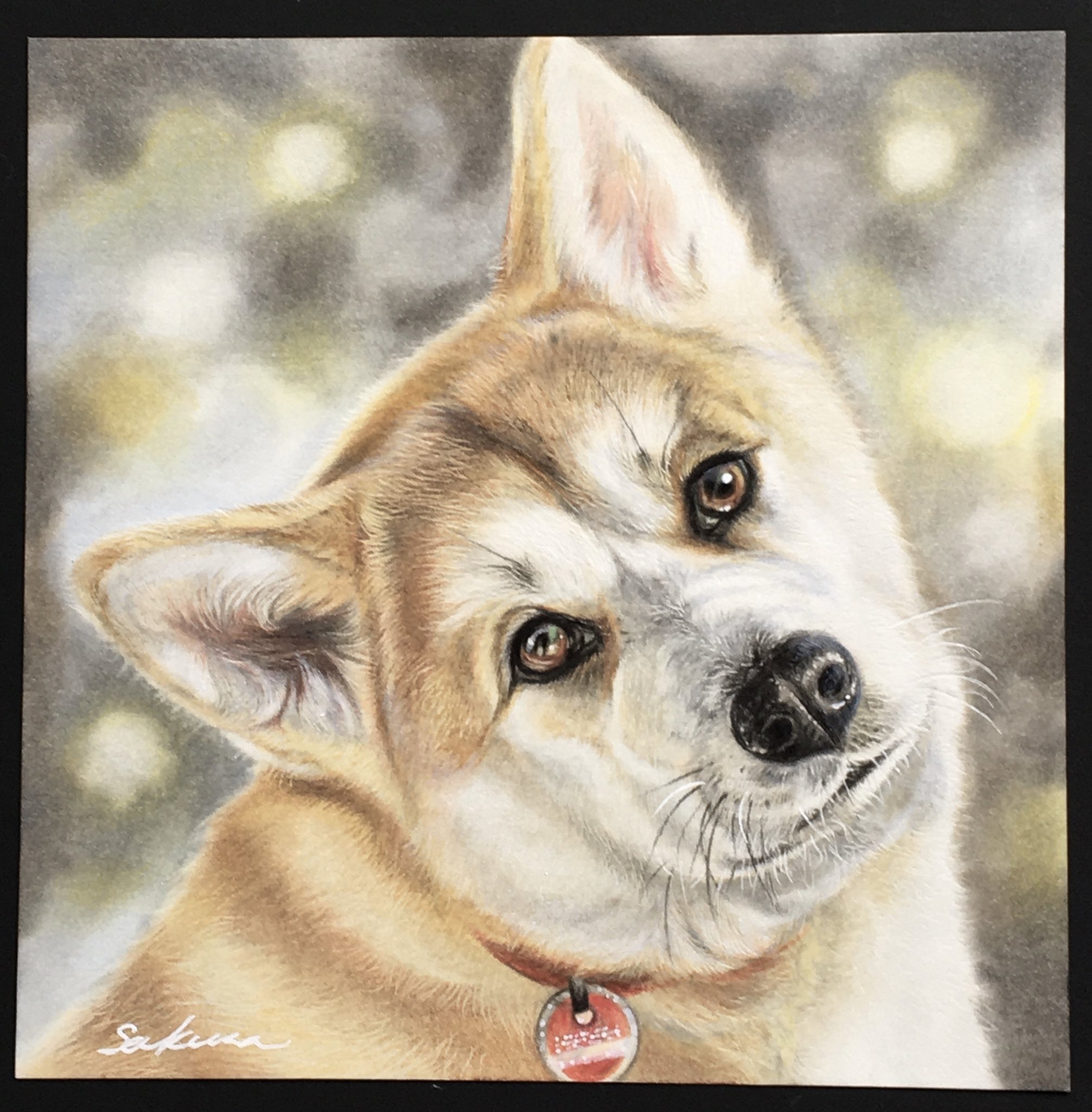 色鉛筆画 鉛筆画です。 KMKケント紙 A5サイズ 三菱ハイユニ 使用
