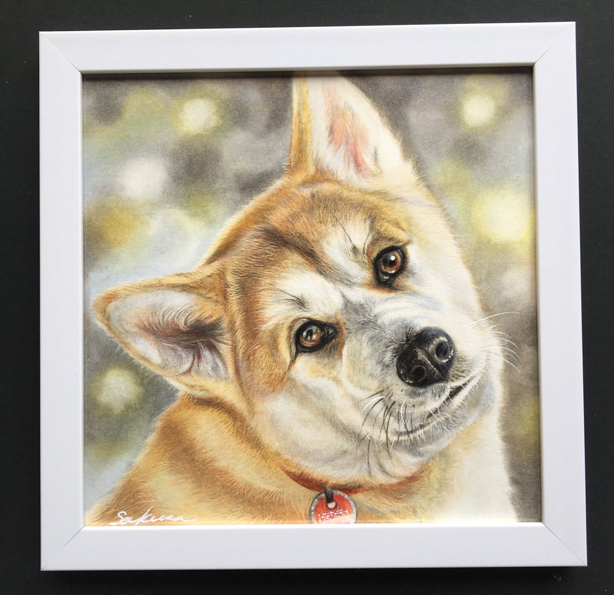 色鉛筆画 安部祐一朗の色鉛筆画「生物×宝石」の描き方 | 安部 祐一朗 |本 | 通販