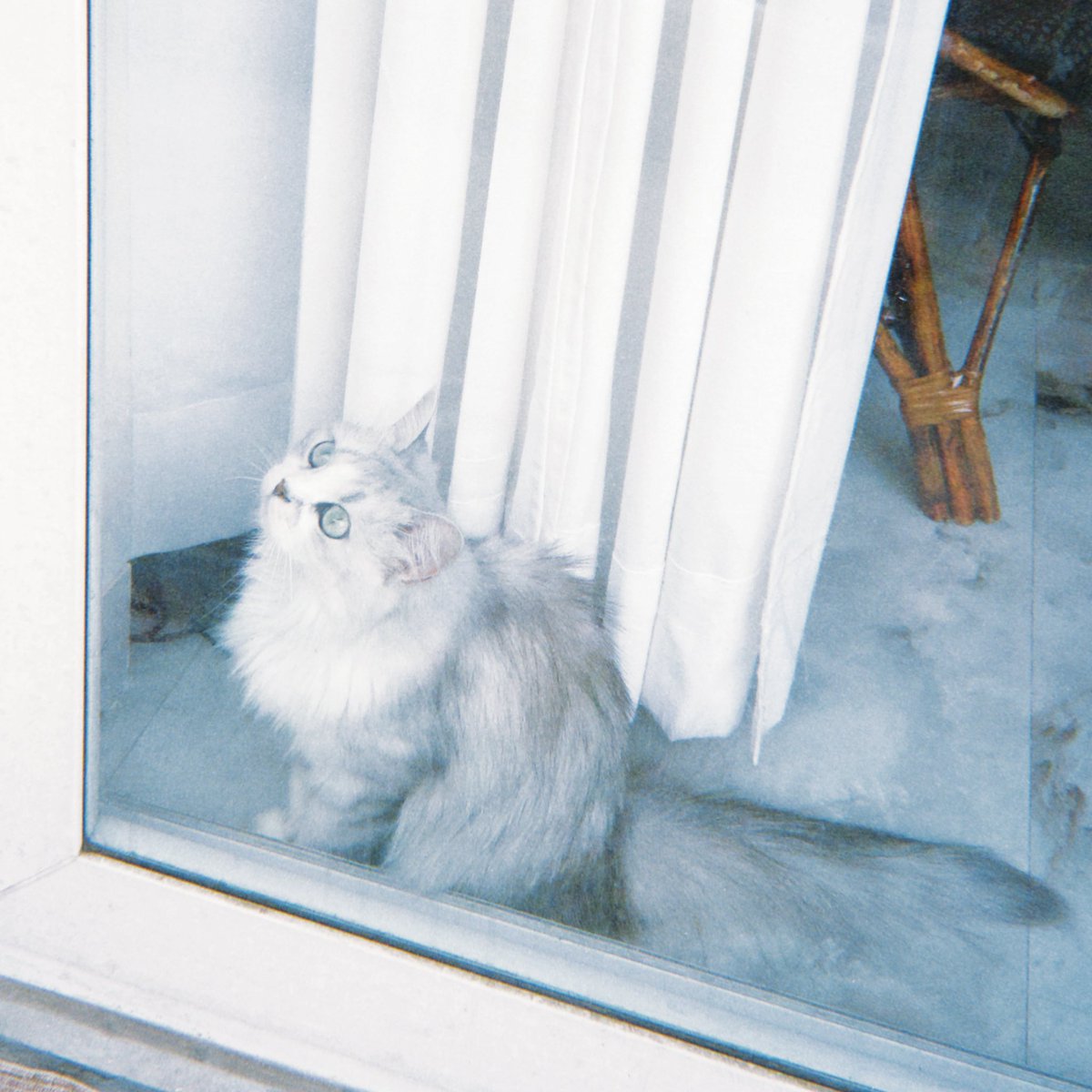 “I woke up and started screaming around the house at 2 am”