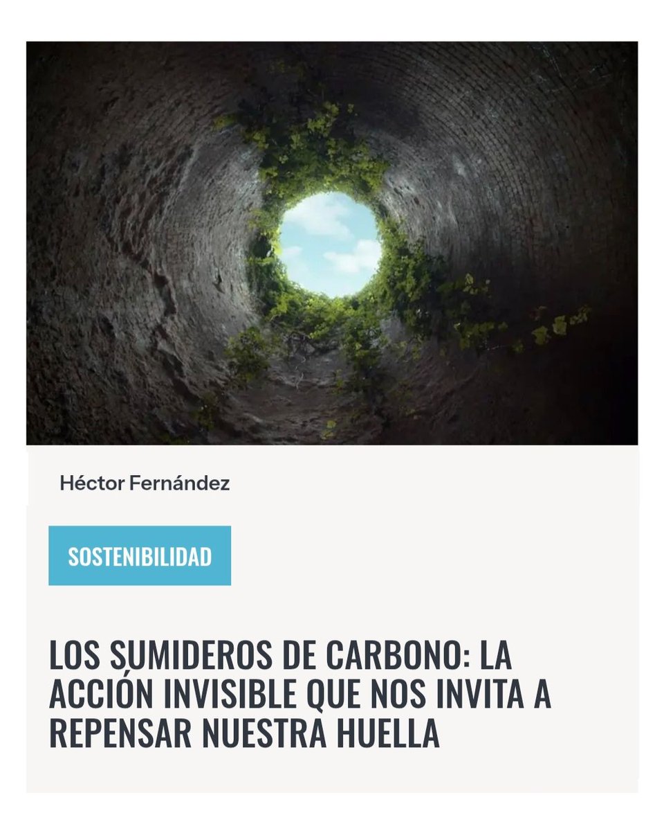 Te recomendamos leer el último artículo de Héctor Fernández para Foro Géiser: Los sumideros de carbono: la acción invisible que nos invita a repensar nuestra huella | forogeiser.org/los-sumideros-…

#geiser2025 #filosofíadelaacción #vocesconimpacto #articulodeautor