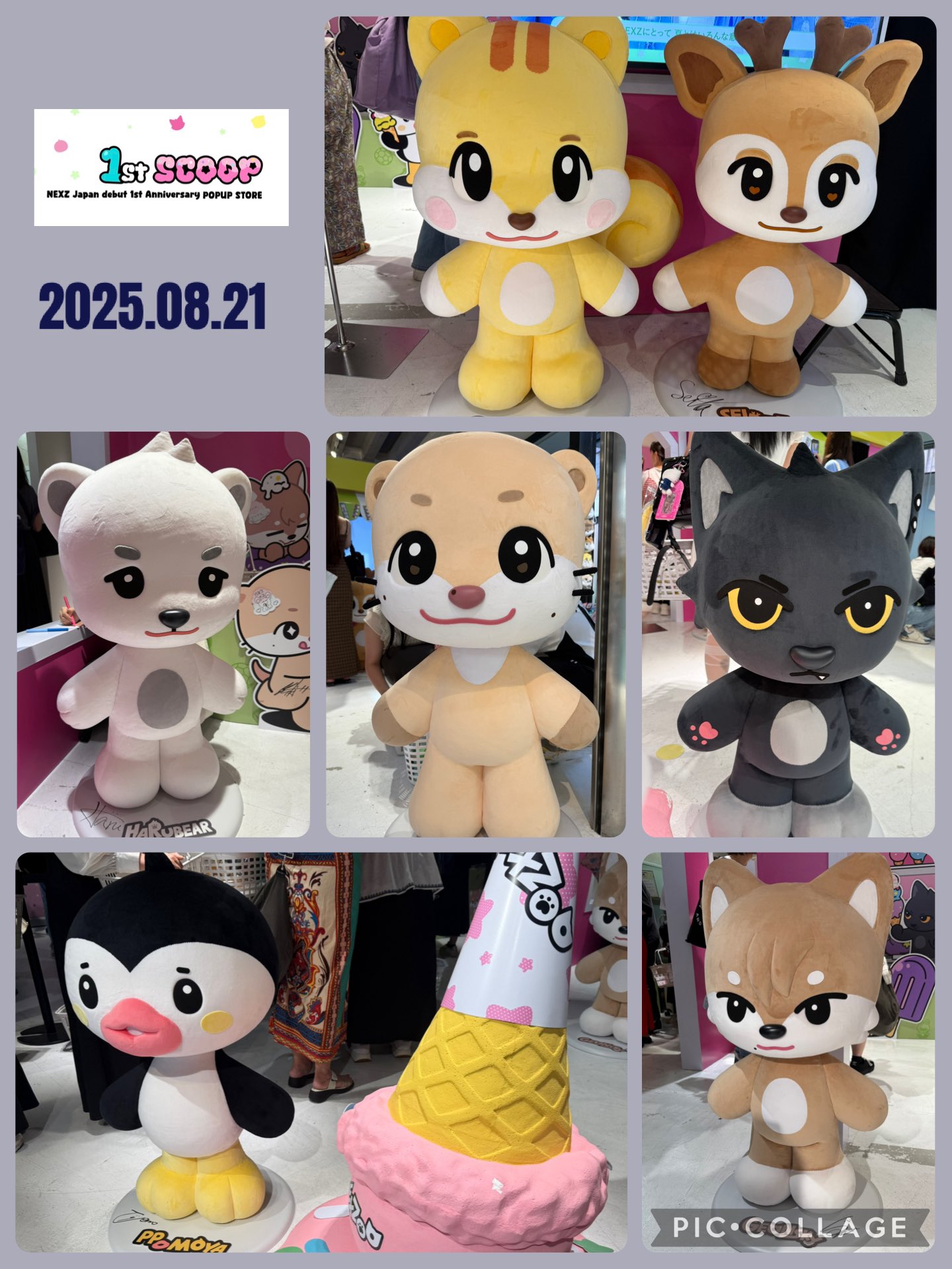 コムドットYUTA ぬいぐるみ ボックス入り m48204230658_1.jpg?1749365994