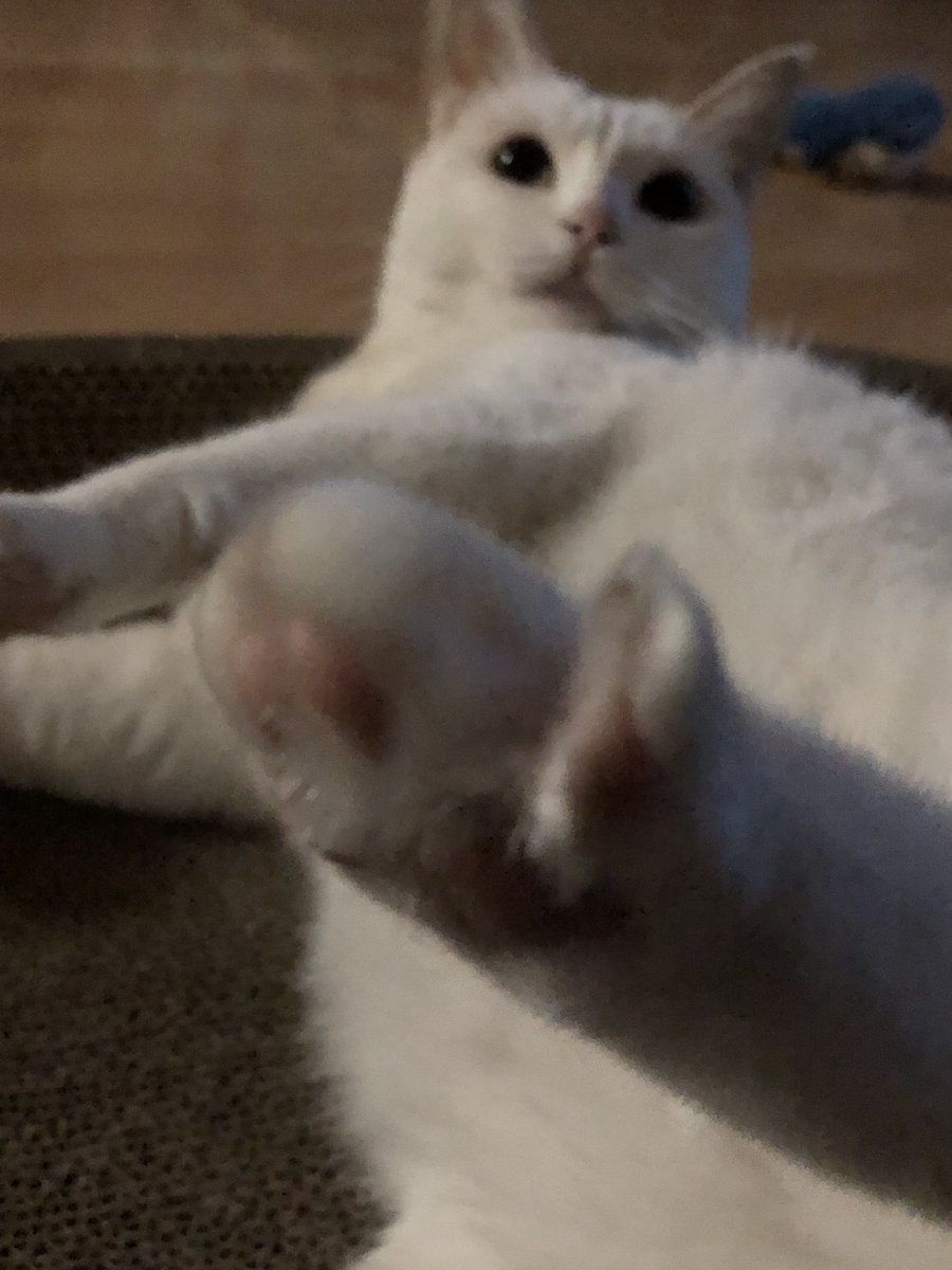 黄推福利内容 - 吊丝尸块姐的精彩图片 福利姬吊丝尸块姐分享的黄推图片3 - 网红私拍内容