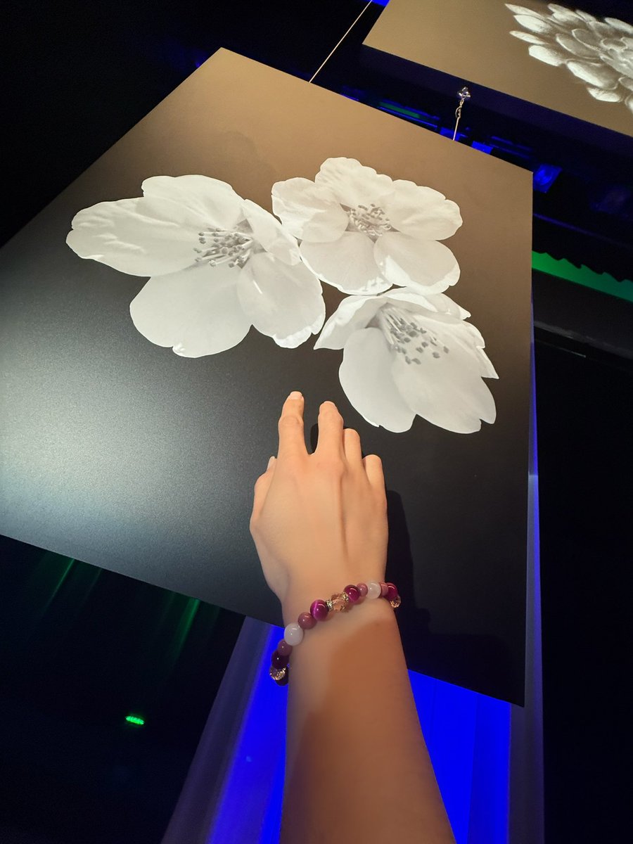 #華Doll_HorD #華Doll #華ドル #hanadoll

華Dollのイベント、ありがとうございましたー！！鬨が生きてきた軌跡は全てCDの中に、皆の心の中にあるはず…！
またいつか語れる日があるといいなぁ