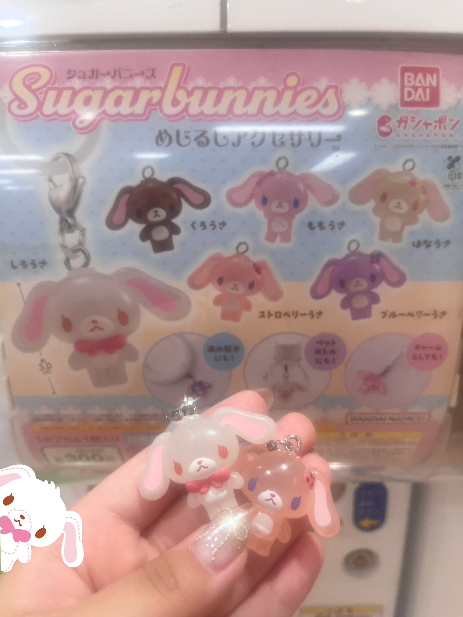 シュガーバニーズ　2個セット シュガーバニーズ 2個セット