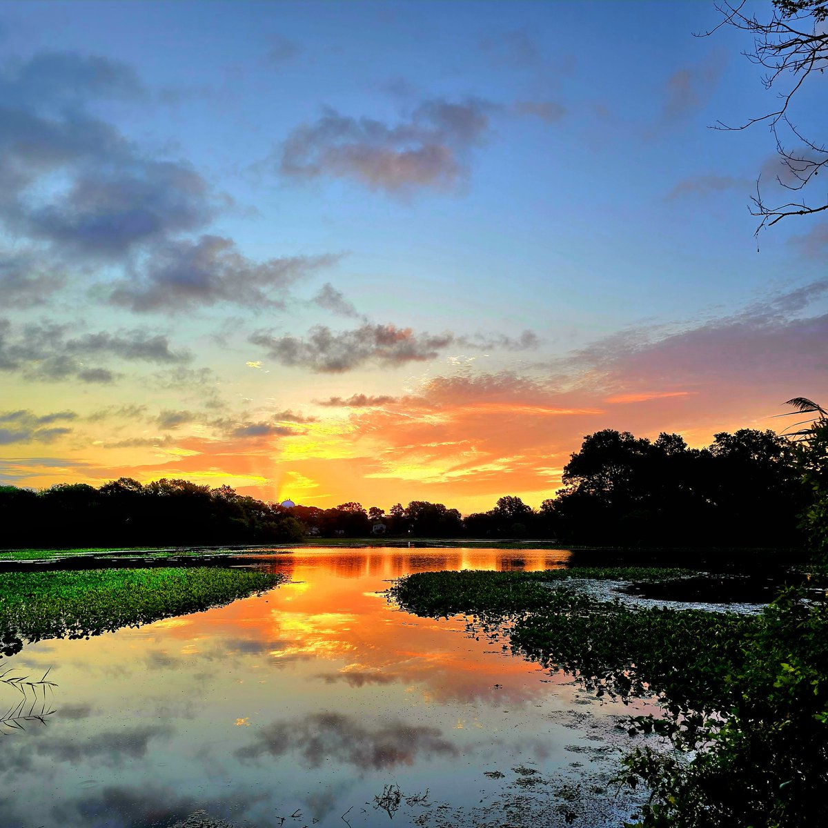 <a href="/AlexCalamiaWx/">Alex Calamia ☀️</a> 
<a href="/hoffmanrich/">RichHoffmanWeather</a> 
<a href="/AddisonGreenWX/">Addison Green</a> 
<a href="/mark_tarello/">Mark Tarello</a> 
<a href="/TreutleinDenise/">Denise treutlein</a> 
<a href="/News12LI/">News12LI</a> 
#n12stormwatchers 
Sunday sunrise at the Massapequa lake today.