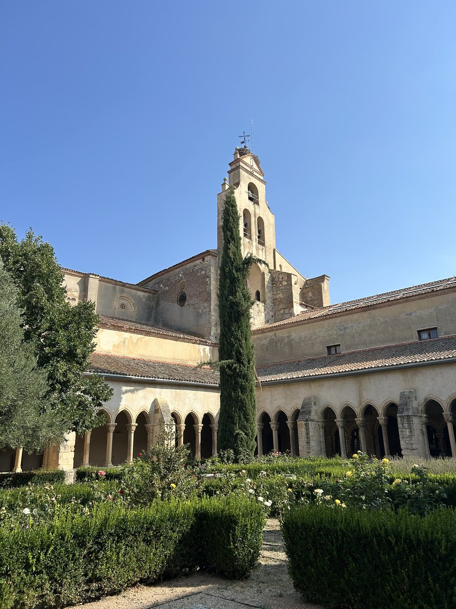 Monica de Cossio tweet media