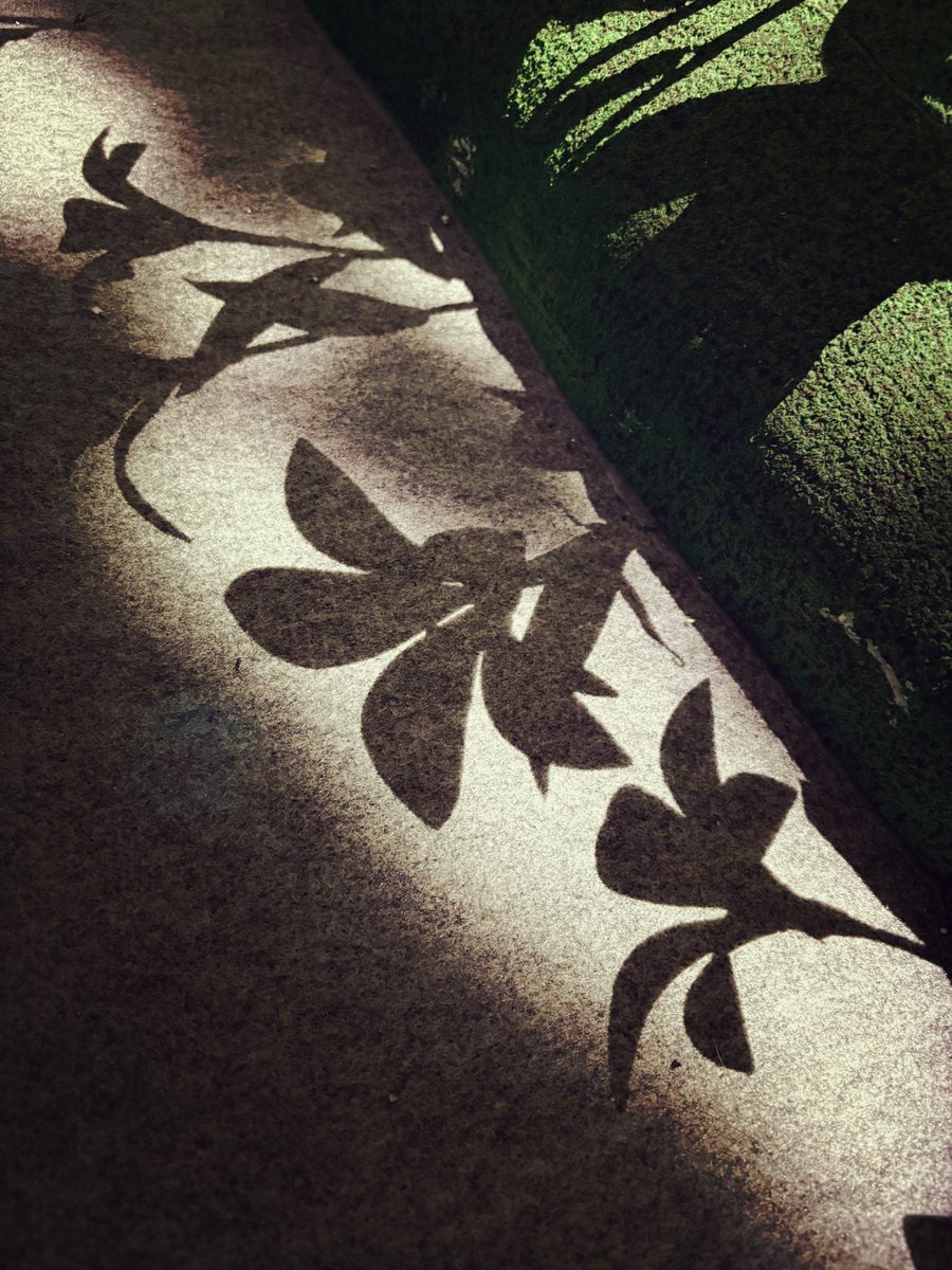 いっぱい撮れた🙌