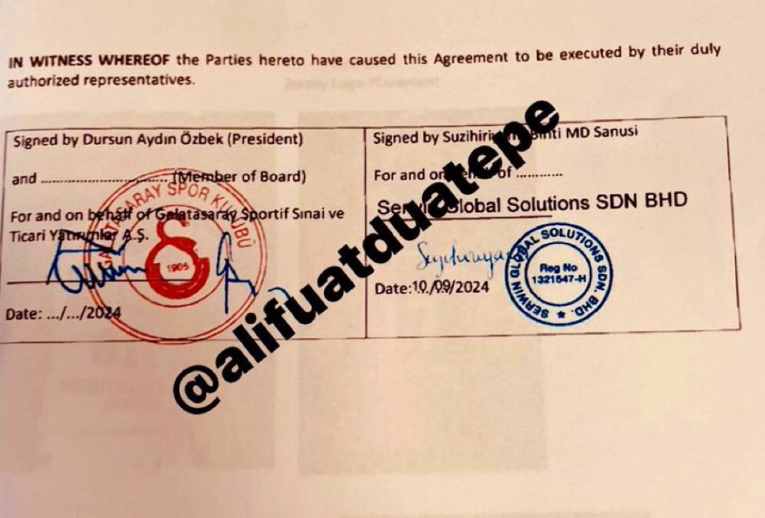 Nurizade Bey tweet media