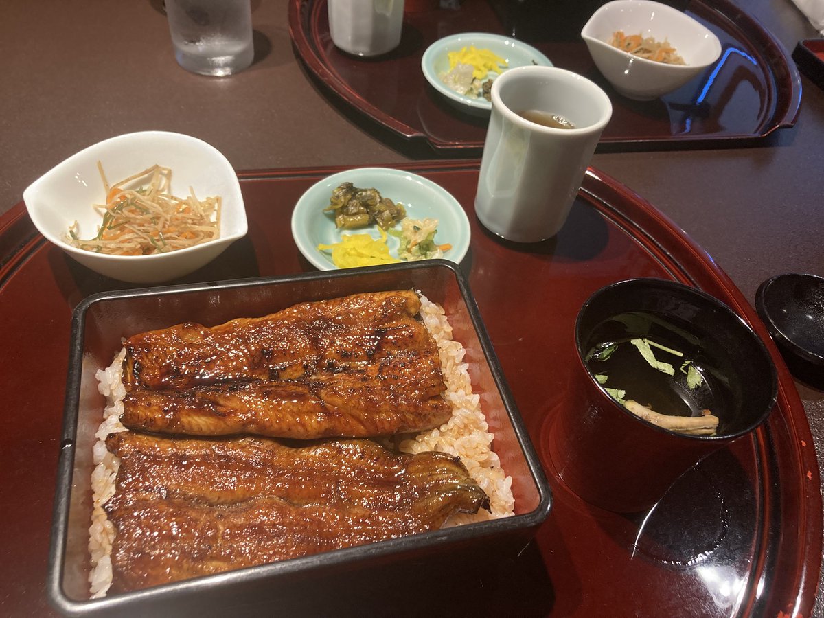 新家智子 Tomoko Shinka tweet media