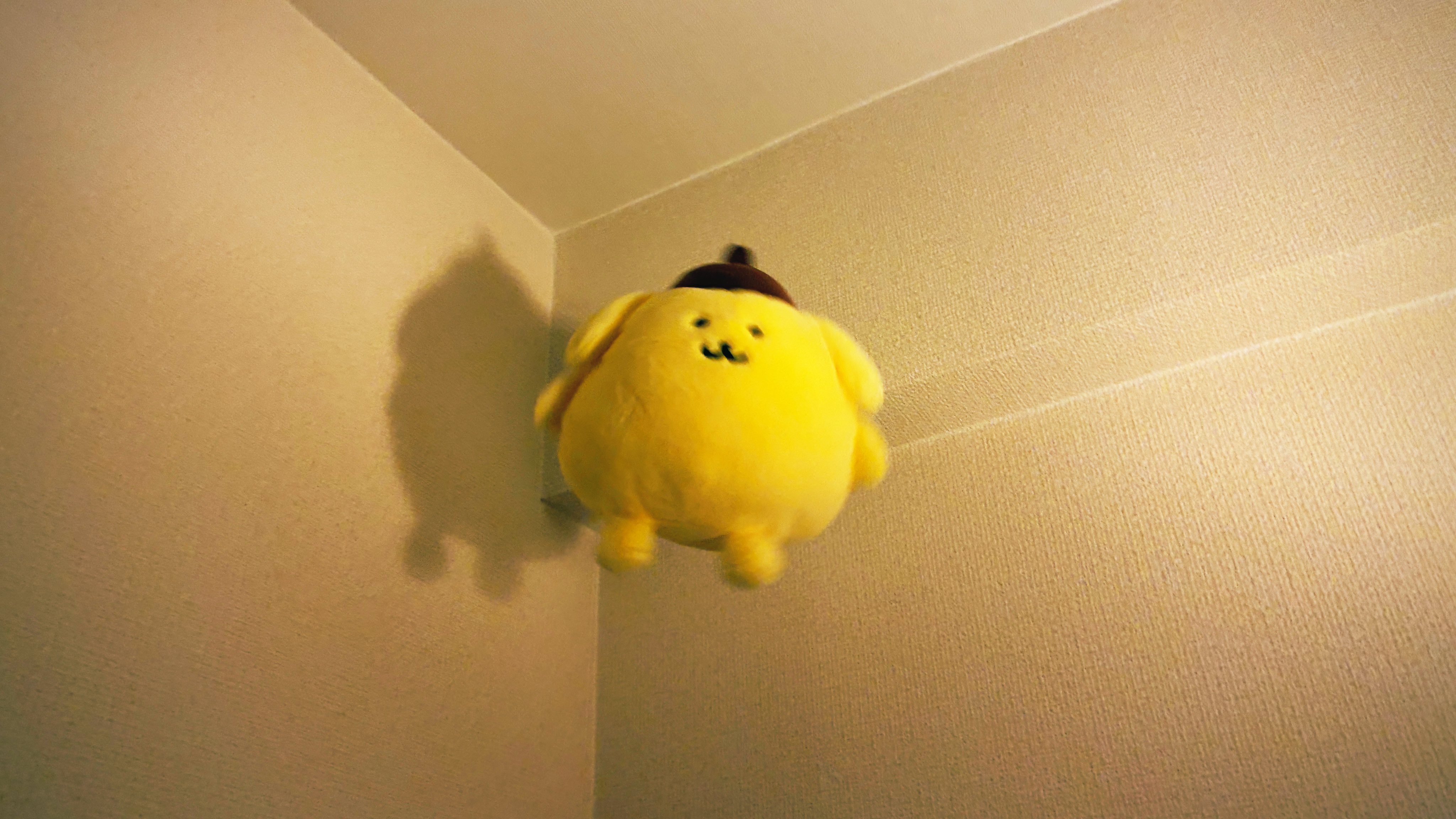 ポムポムプリン てるてる坊主 タグなし Amazon.co.jp: サンリオ