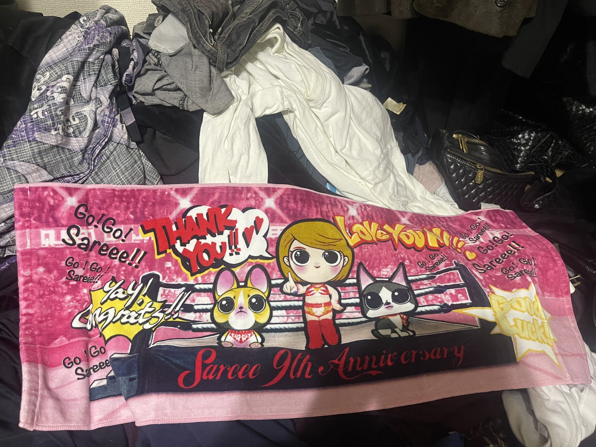 女子プロレス/Sareee選手のタオル2枚(非売品)(未開封) Amazon.co.jp: Sareee サリー SARRAY 応援タオル 女子プロレス