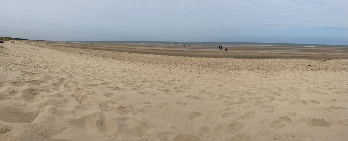 Steve Briggs tweet media