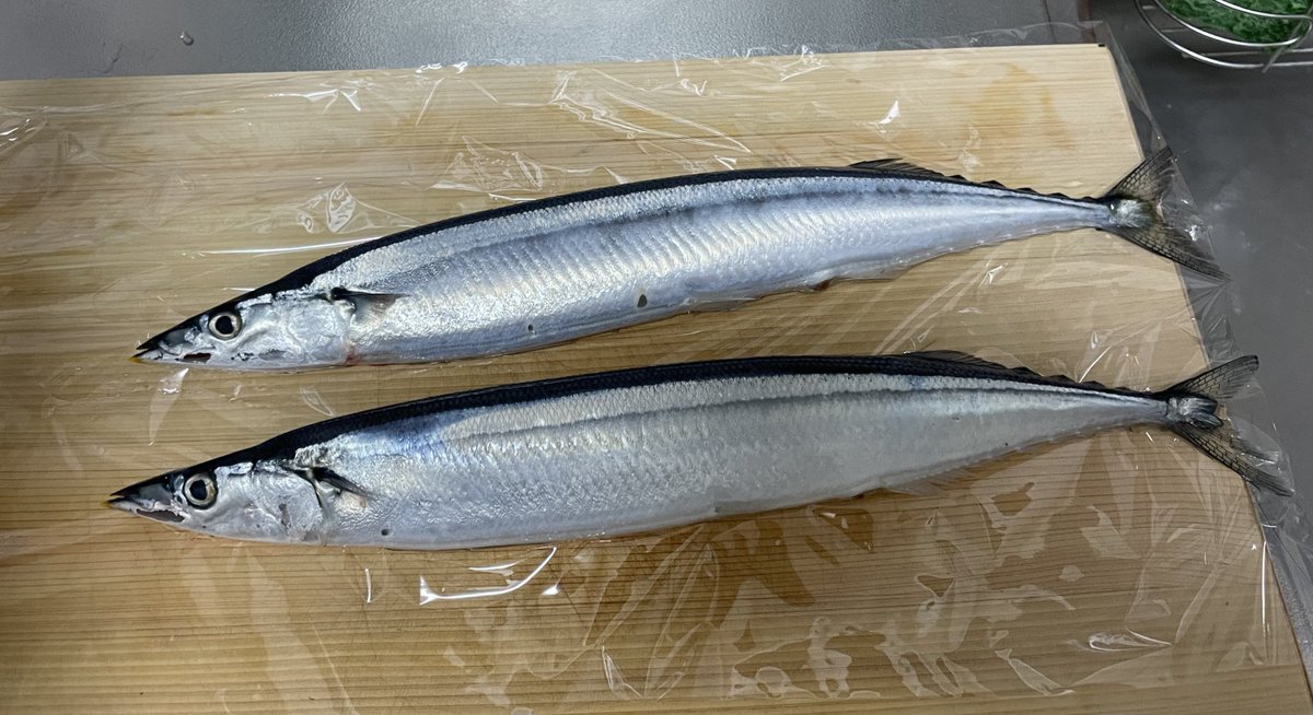 新物さんま、この後しっかり焼いて食べました😋
