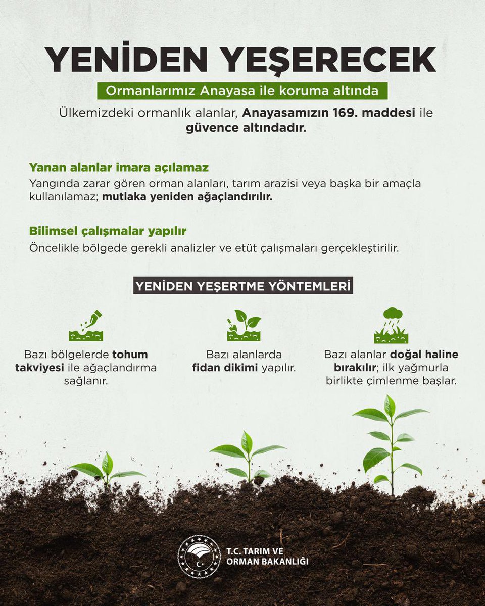 🌳 Ormanlarımız Anayasa’nın güvencesi altında.

🌲 Yanan alanlar başka amaçla kullanılamaz, mutlaka yeniden ağaçlandırılır.

👉 Çünkü orman, sadece ağaç değil; gelecek, nefes ve umuttur.