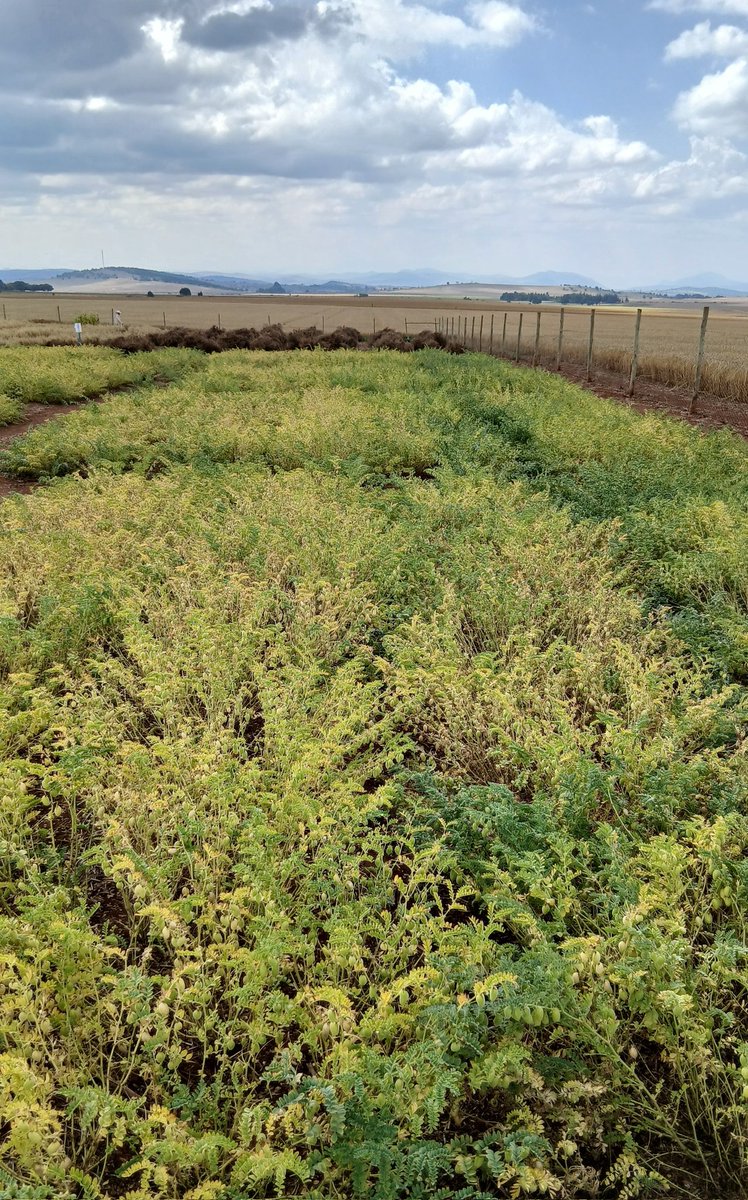 David Jones tweet media