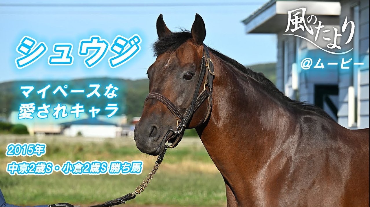 朱☆馬 3歳以上次走】朱鷺S10着キタウイングは京成杯AHを視野