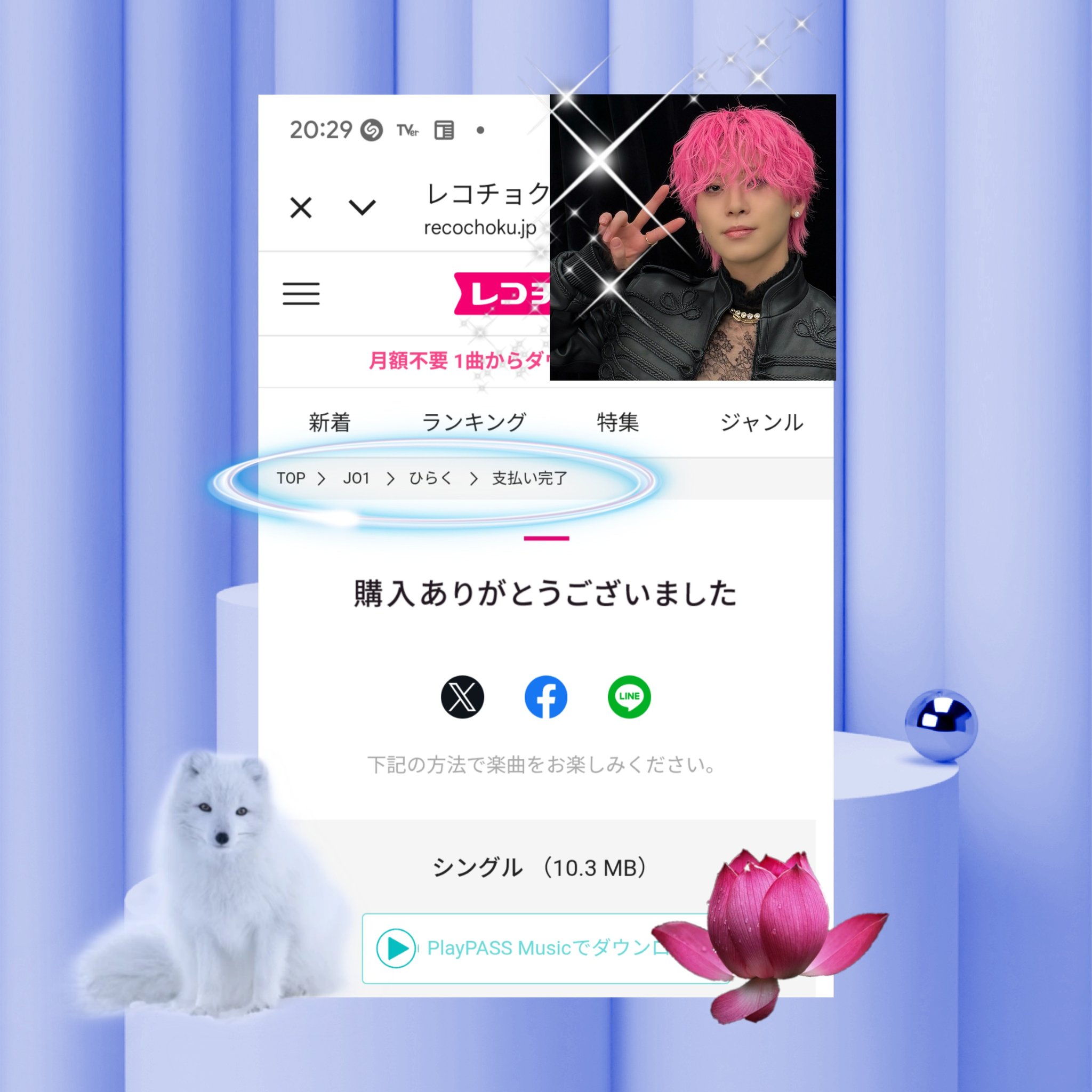 ✳︎蓮恋✳︎様 Amazon.co.jp 売れ筋ランキング: undefined の中で最も人気の