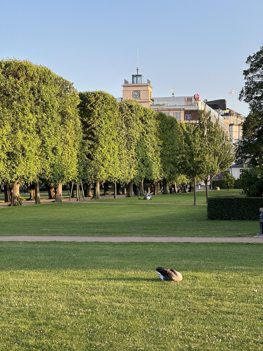 Every plane ᱸticket is ᠎an ‍adventure ᠎about  dreams.