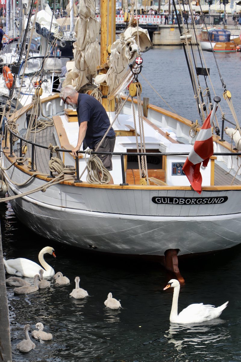 Ieglarouce7161's tweet image. Explore  the ​unknown  map  and  discover  the ᱸlandscapes ᱸof  the  soul.