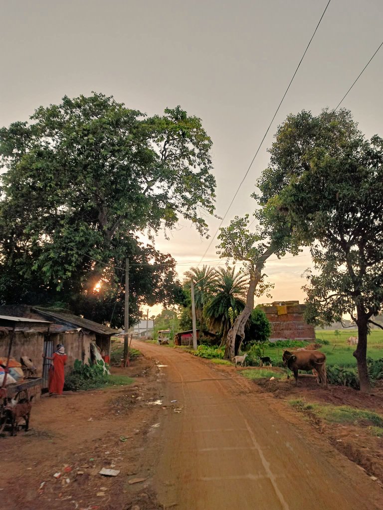 बारिश वाली शाम ज्यादा सुहानी होती है।
एक तरफ काले बादल,
दूसरी तरफ लुकता छिपता सूरज,
मनमोहक और मदमस्त वातावरण हो जाता है।