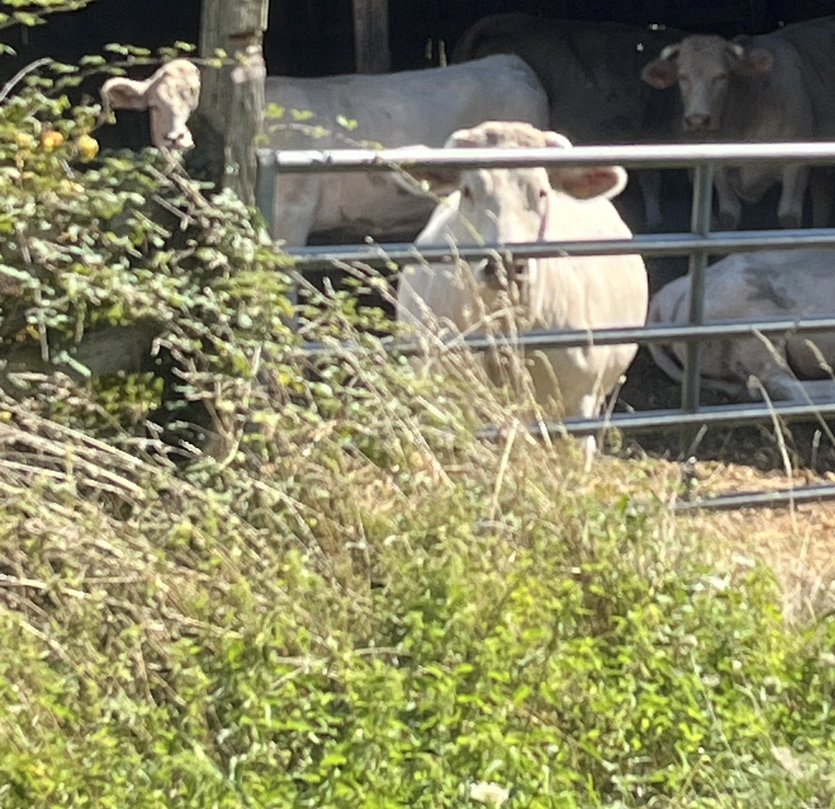 On me surveille…